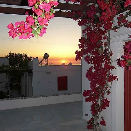 Guest house Vasilis 3*