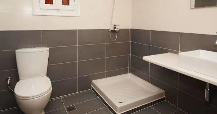 فاسيليس بيت ضيافة Mykonos Town